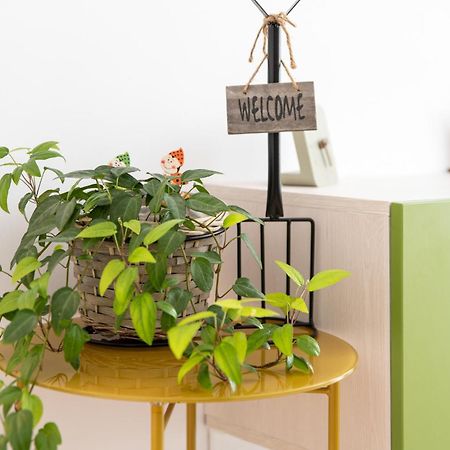 Springhome - Cozy Apartment With Balcony & Parking Braşov Buitenkant foto
