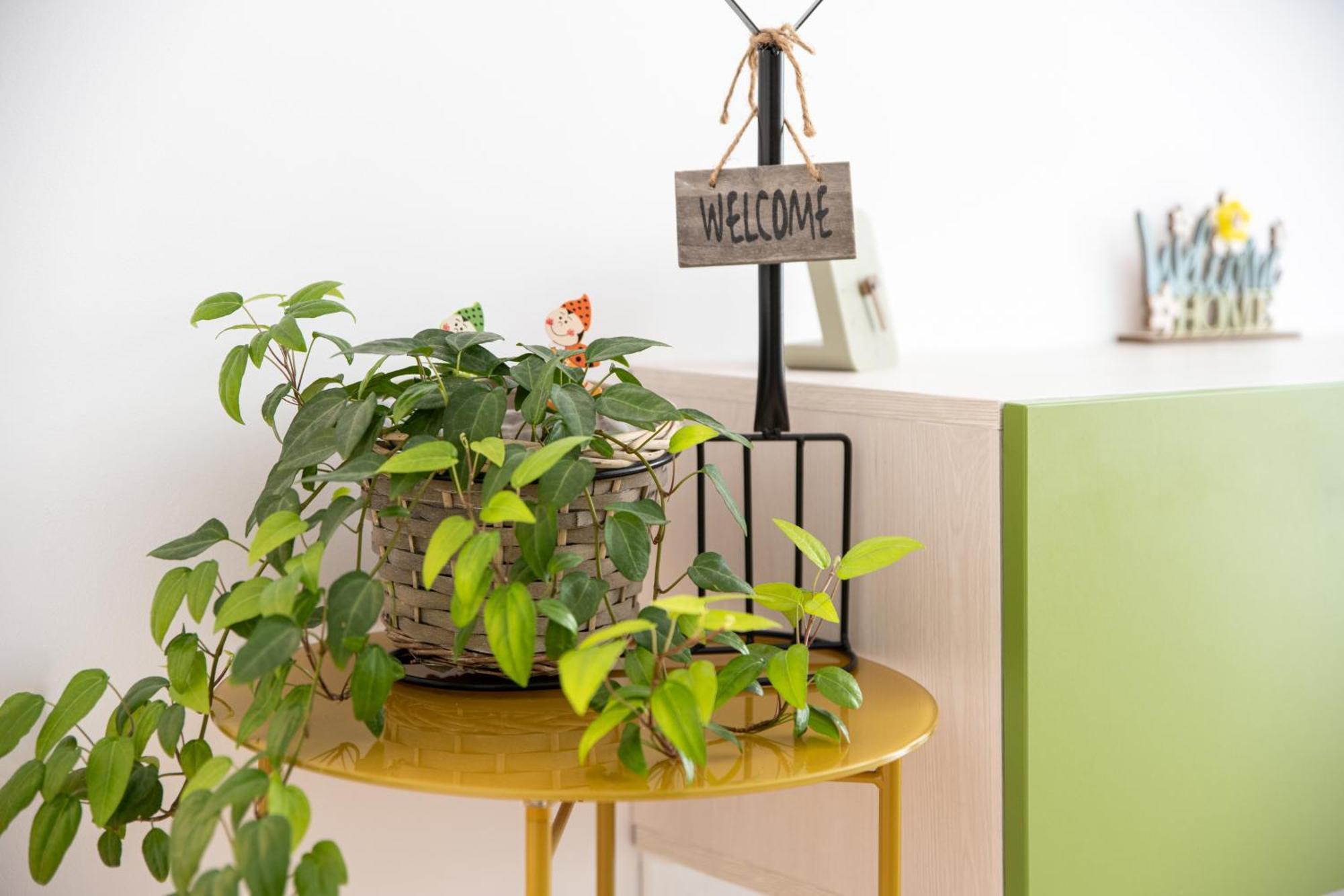 Springhome - Cozy Apartment With Balcony & Parking Braşov Buitenkant foto