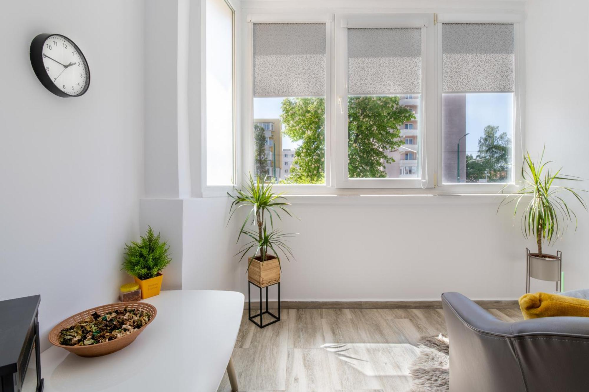 Springhome - Cozy Apartment With Balcony & Parking Braşov Buitenkant foto